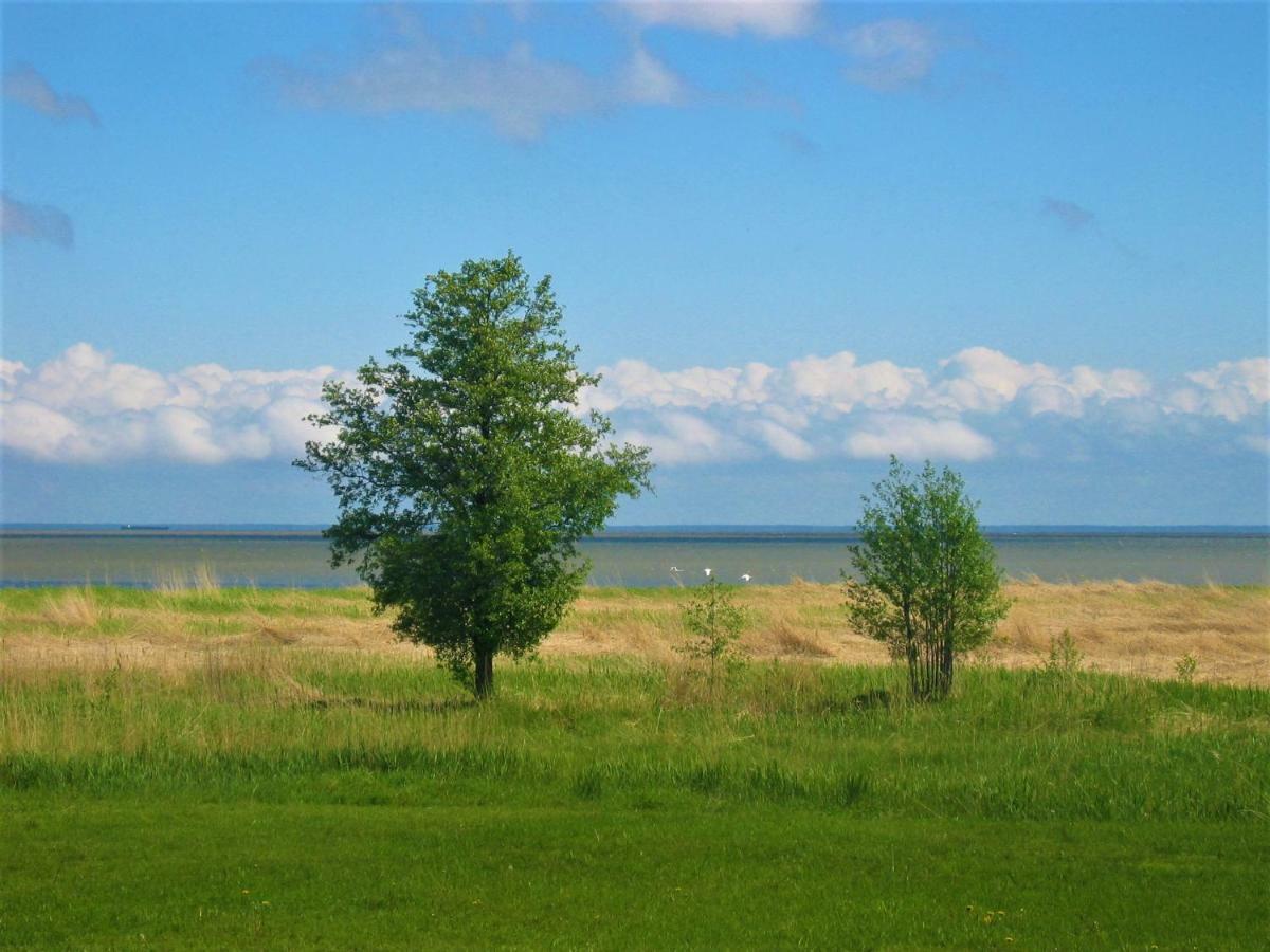 Saulepa Cottage 外观 照片